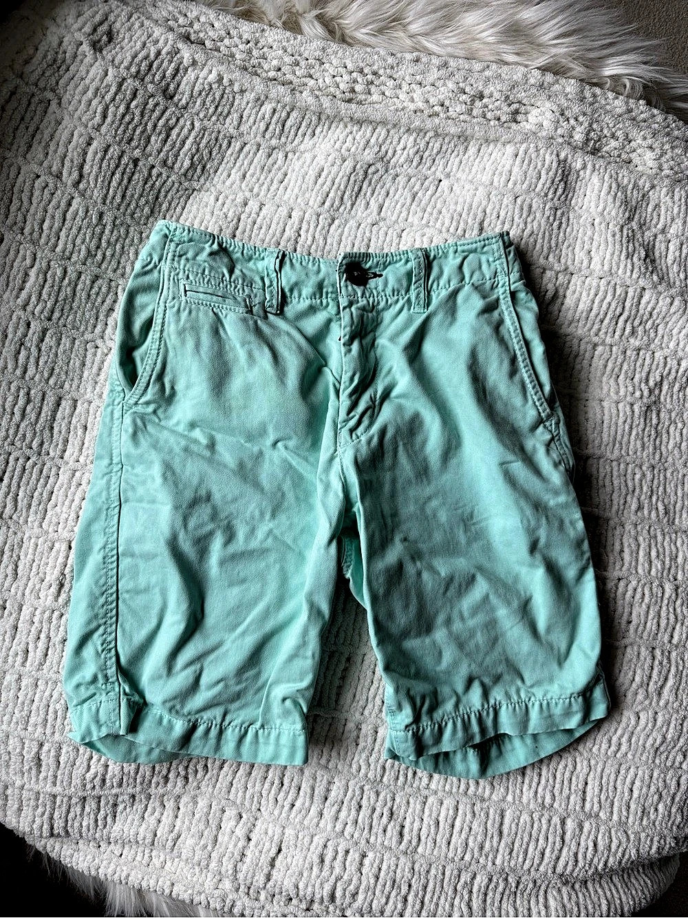 American Eagle Men’s Green Shorts
